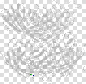 Line art White , design transparent background PNG clipart thumbnail