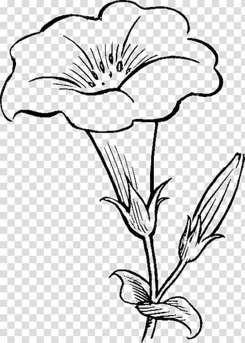 Hibiscus Flower Drawing Coloring Page With Doodle Art Line Art Vector On  White Background Stock Vector | Adobe Stock