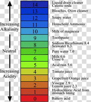 PH Alkalinity Acid–base reaction, others transparent background PNG ...