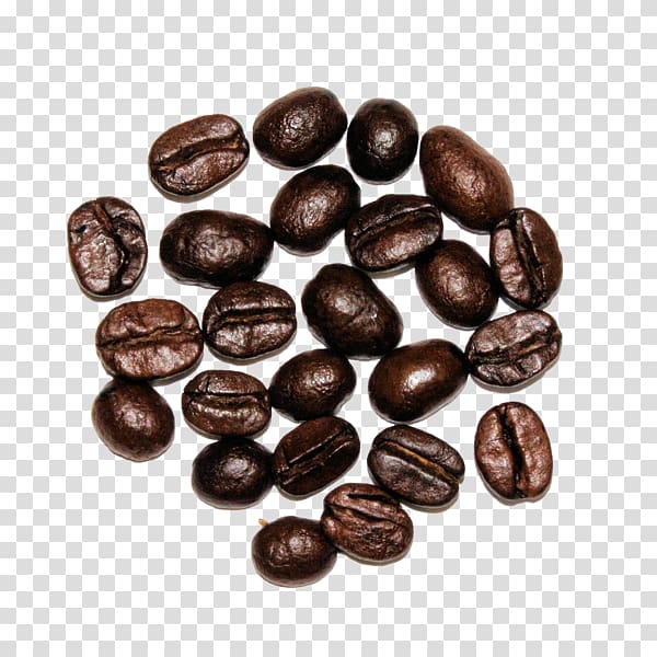 Jamaican Blue Mountain Coffee Cocoa bean Bead Brown Nut, dutch coffee transparent background PNG clipart