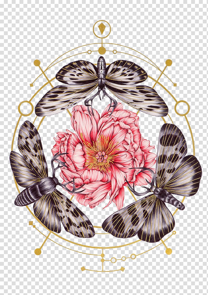 Moths and flowers transparent background PNG clipart
