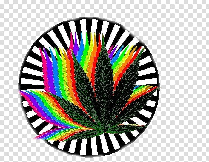 Cannabis Gfycat Cannabidiol , cannabis transparent background PNG clipart