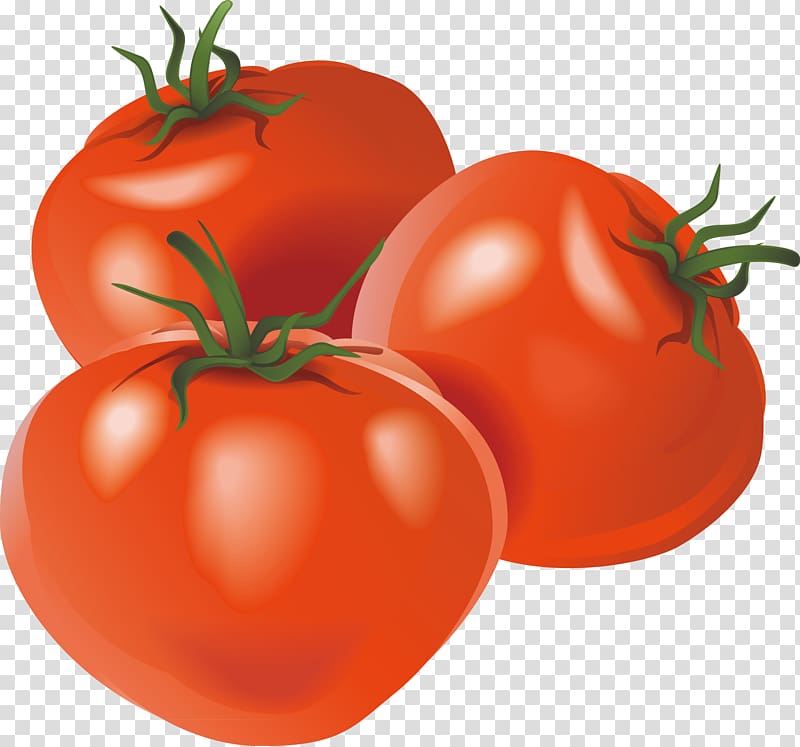 Vegetable Tomato Illustration, Decorative hand painted tomatoes transparent background PNG clipart