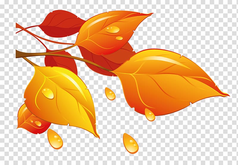 orange and red leaf illustration, Autumn leaf color , Autumn Leaves transparent background PNG clipart
