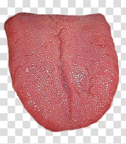 Tongue transparent background PNG clipart