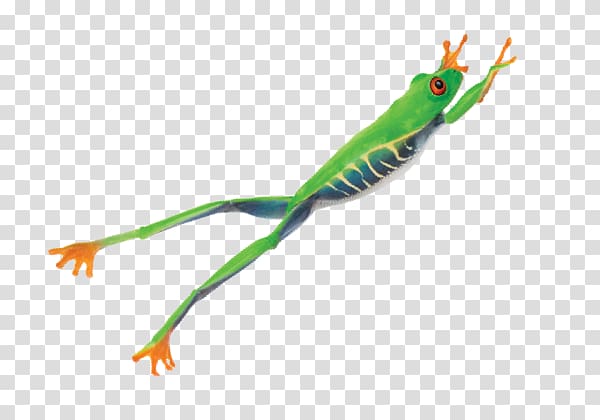 Frog Reptile Telus, Common Frog transparent background PNG clipart
