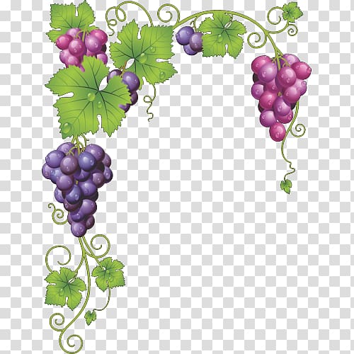 Common Grape Vine Wine Grape leaves, wine transparent background PNG clipart