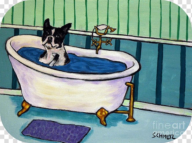 \'boston Terrier Bath\' Painting Print on Wrapped Canvas HomeGoods Baths, BOSTON TERRIER transparent background PNG clipart