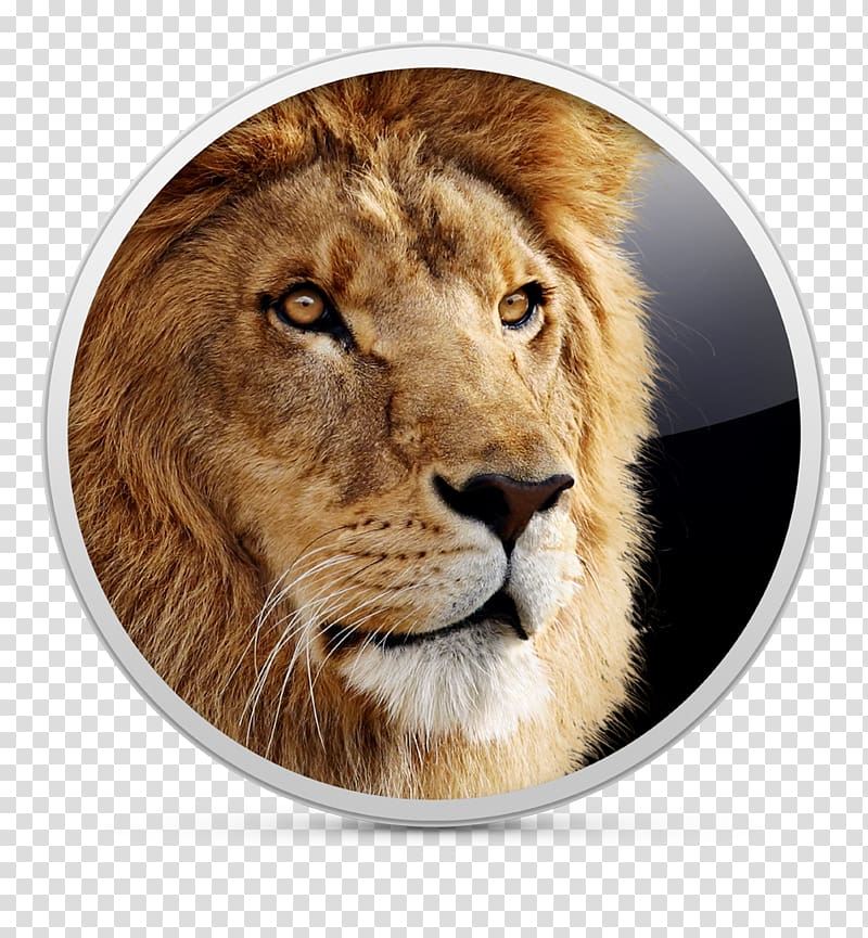 Mac OS X Lion macOS Apple, apple transparent background PNG clipart