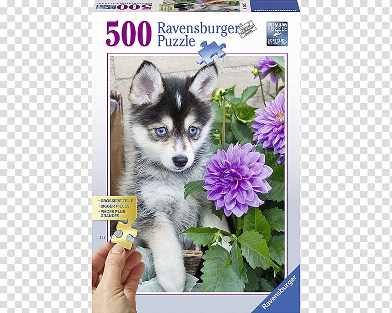 Siberian Husky Jigsaw Puzzles Puppy Pomeranian Ravensburger, puppy transparent background PNG clipart