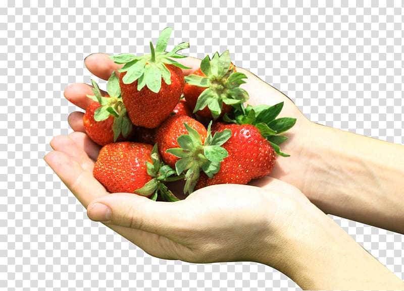 Strawberry Aedmaasikas Google s, Hands holding strawberry picking material transparent background PNG clipart