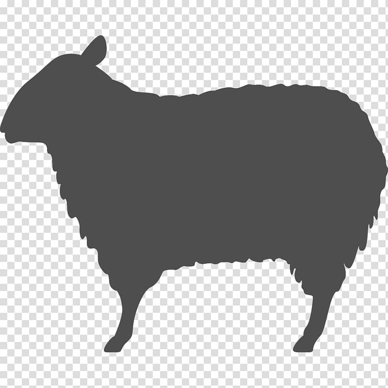 Sheep Résumé Template, mutton hotpot transparent background PNG clipart