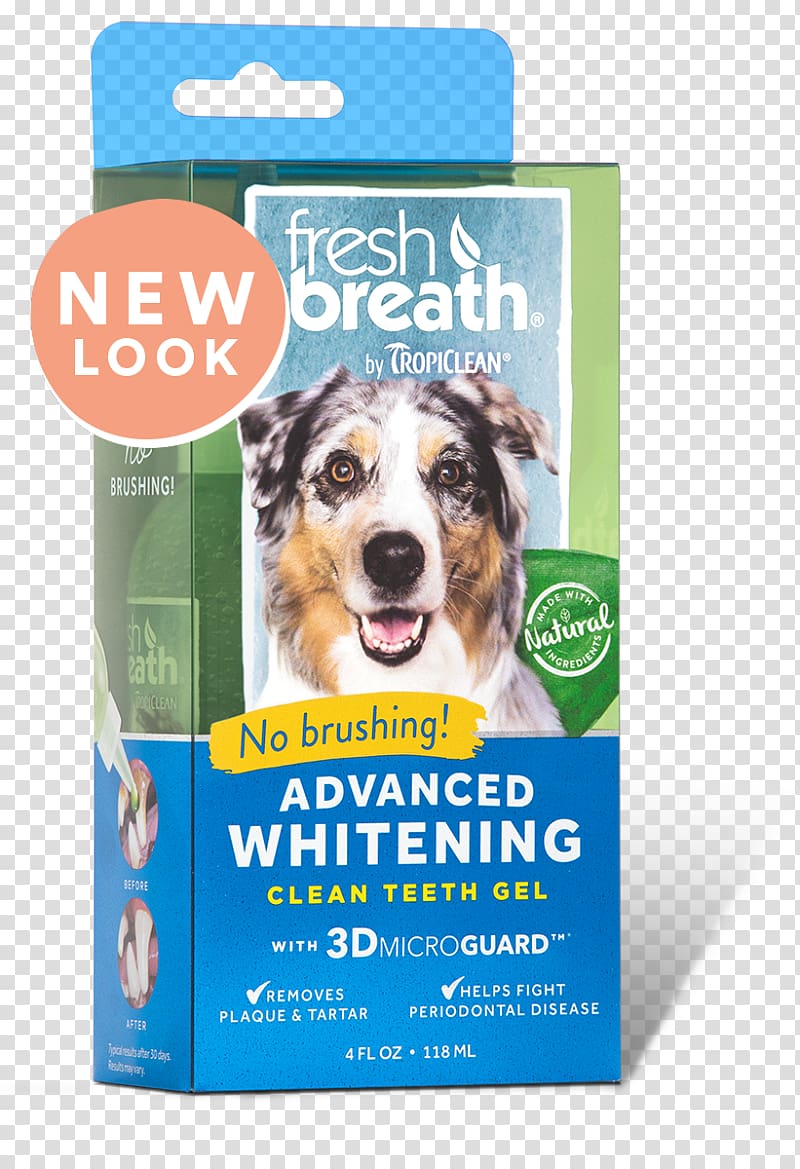 Dog Teeth cleaning Tooth whitening Cat Oral hygiene, Dog transparent background PNG clipart