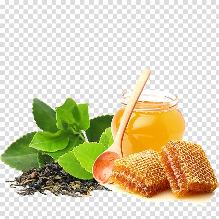 Green tea Matcha Oolong Camellia sinensis, tea transparent background PNG clipart