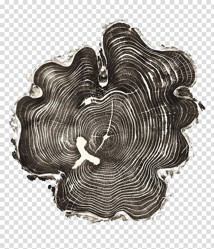 United States Woodcut Artist Printmaking Tree, Tree rings transparent background PNG clipart