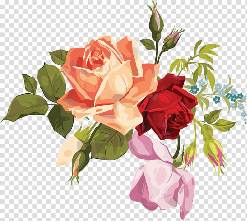 Garden roses Flower bouquet Floral design Cut flowers, watercolour transparent background PNG clipart