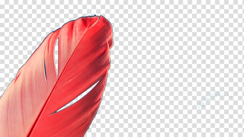 Red Feather Quill, Red feathers transparent background PNG clipart