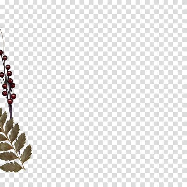 Blog Leaf Body Jewellery Western saloon Coni\'fer, parterre transparent background PNG clipart