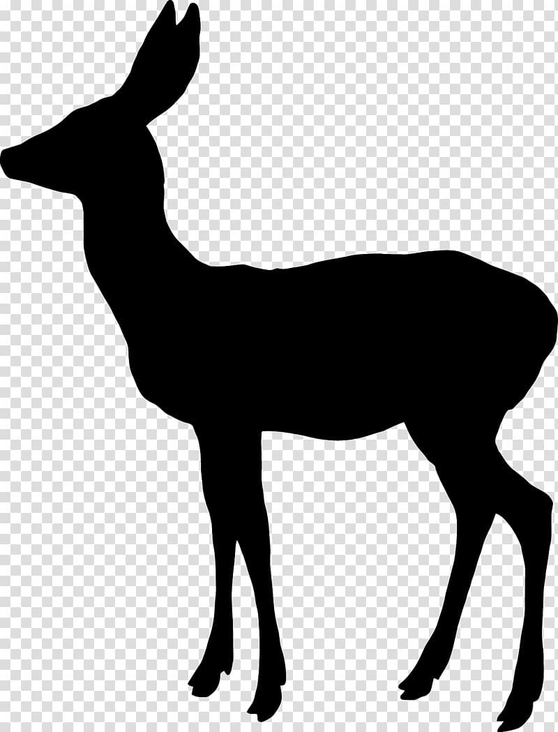 White-tailed deer Reindeer Elk Moose, Fairy Silhouette transparent background PNG clipart