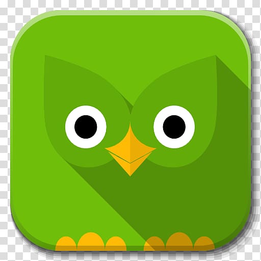 green bird logo, owl yellow font, Apps Duolingo transparent background PNG clipart