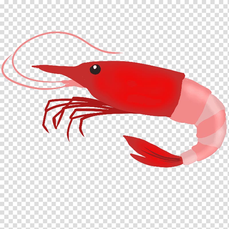 Crab Fishing Baits & Lures Bird Beak, crab transparent background PNG clipart