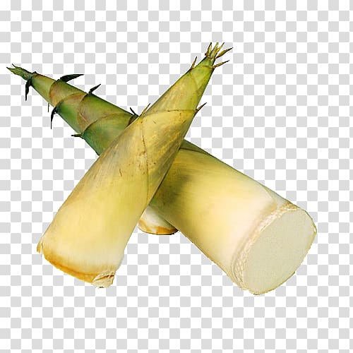 bamboo shoots product transparent background PNG clipart