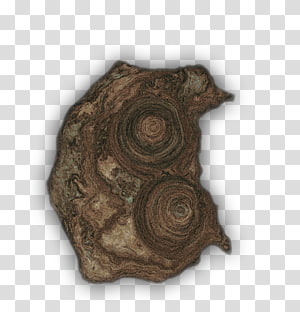 Wood /m/083vt, wood transparent background PNG clipart thumbnail