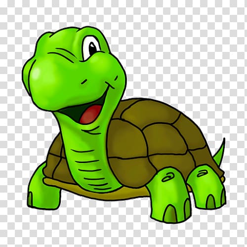 Turtle Cartoon Drawing , turtle transparent background PNG clipart