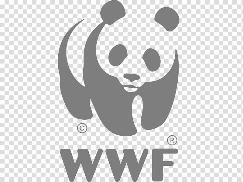 World Wide Fund for Nature Giant panda Conservation Sustainability Organization, dog walking logos transparent background PNG clipart