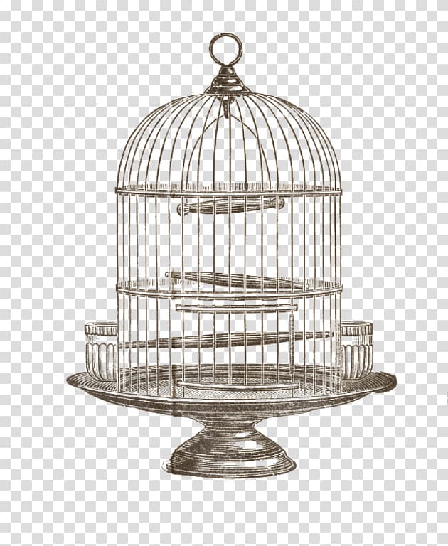 Birdcage Domestic canary , bird cage transparent background PNG clipart