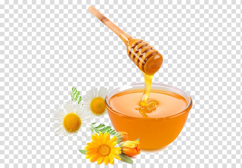 Honey Mobile phone Display resolution Computer , honey transparent background PNG clipart
