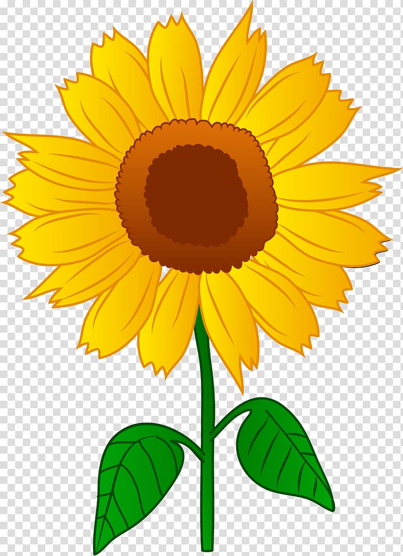 Clear Background Sunflower Clipart Transparent