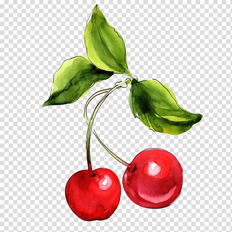 two red cherries illustration, Cherry Watercolor painting Fruit, Hand-painted watercolor cherry transparent background PNG clipart