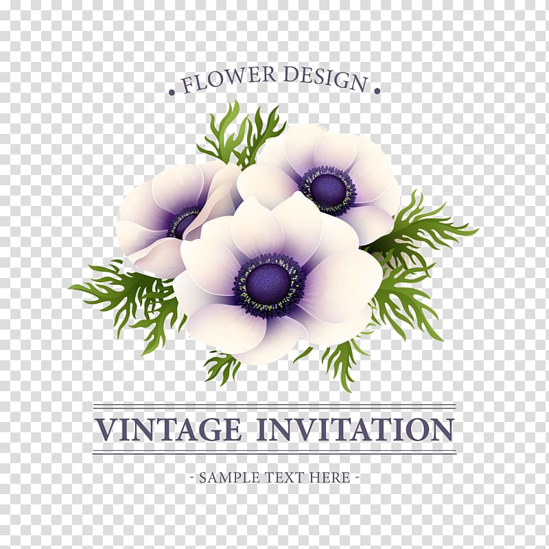 purple flowers illustration, Flower Sea anemone Illustration, flower transparent background PNG clipart