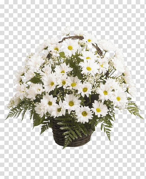 Marguerite daisy Floral design Chrysanthemum Cut flowers Transvaal daisy, chrysanthemum transparent background PNG clipart