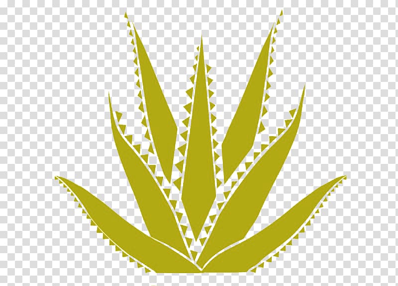 Agave Club Austin Live Band Karaoke Nightclub Leaf Hemp, agave americana transparent background PNG clipart