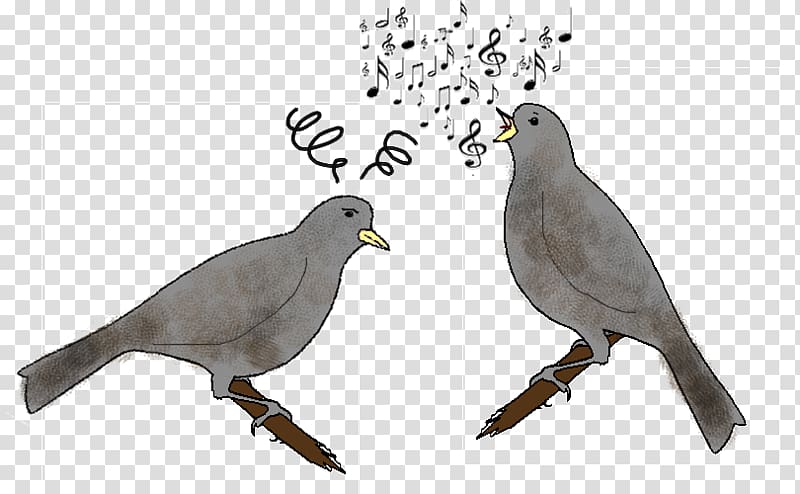 Bird vocalization Columbidae Chez Les Oiseaux Singing, cage transparent background PNG clipart