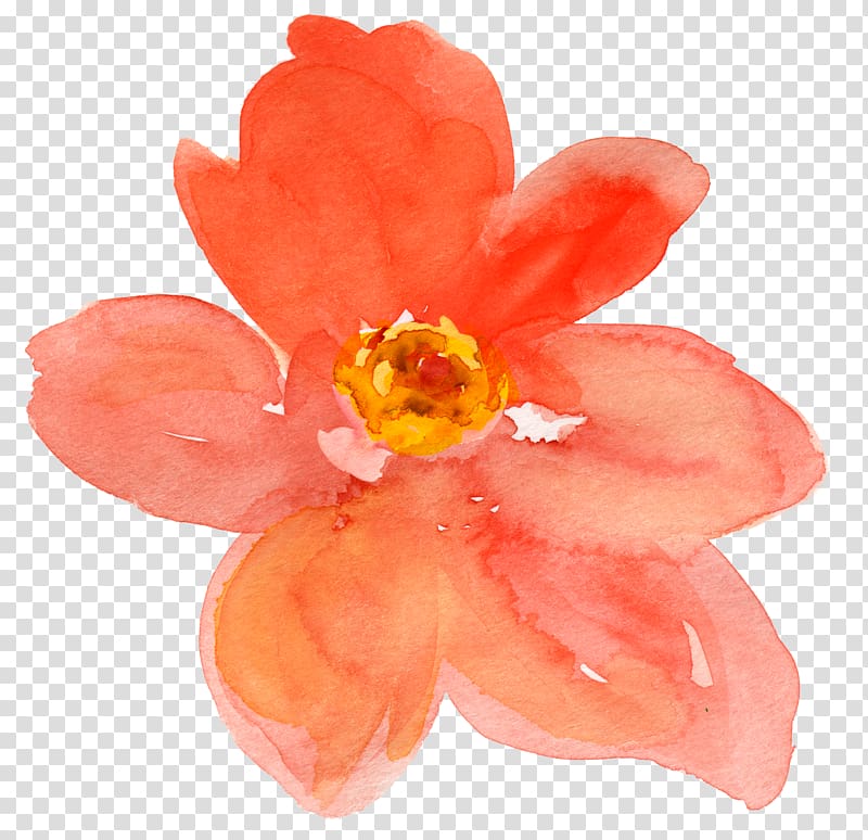 orange petaled flower, Watercolor painting Flower Drawing , peach flower transparent background PNG clipart