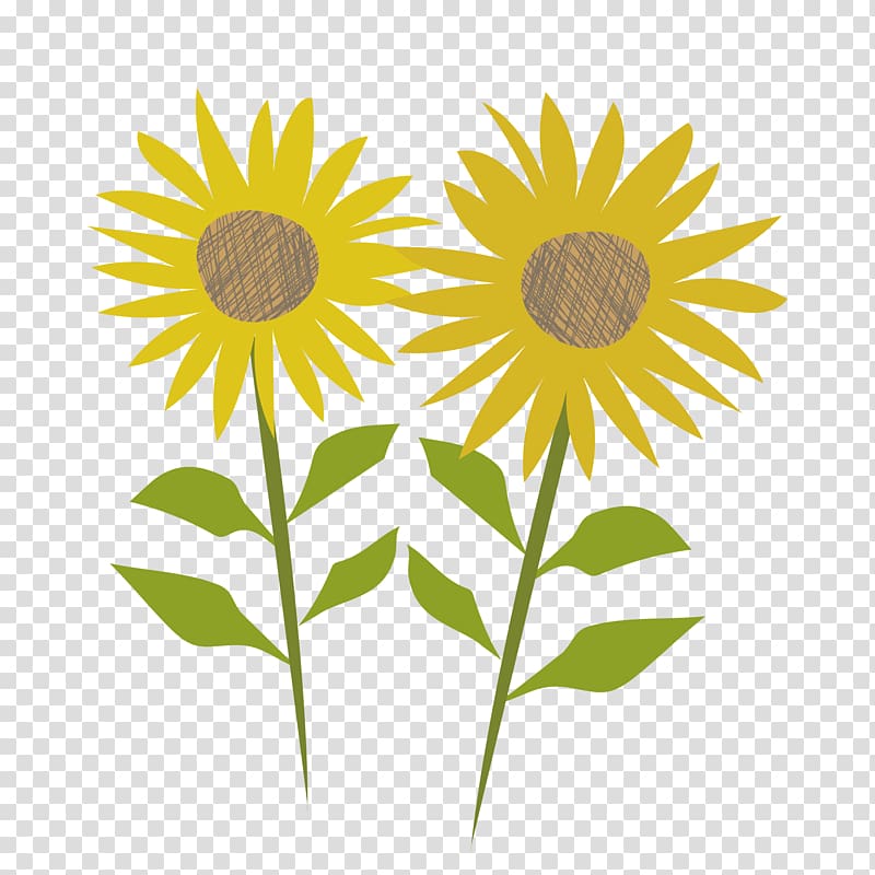 Web browser Gfycat, Sunflower Flower transparent background PNG clipart