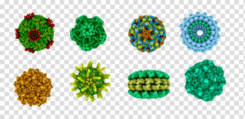 Computer virus Pathogen X-ray crystallography, virus transparent background PNG clipart