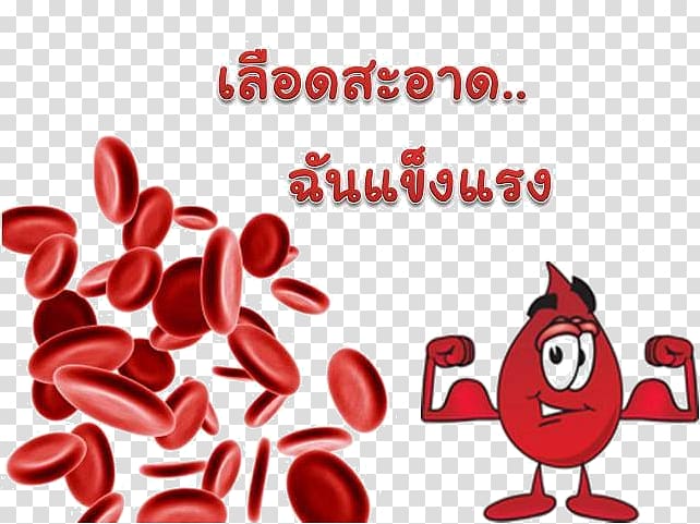 Red blood cell White blood cell Hematologic disease, blood transparent background PNG clipart