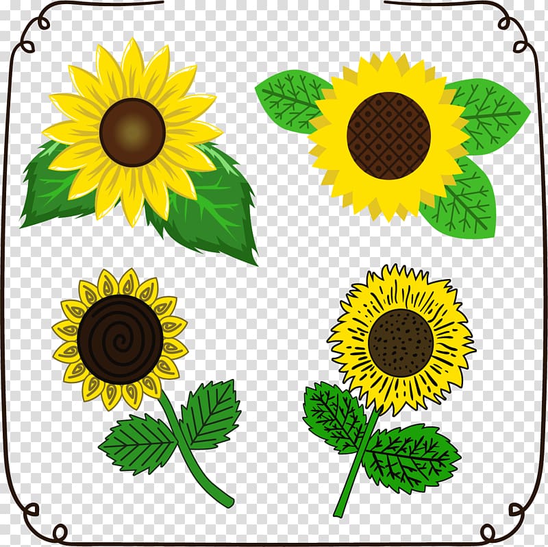 Common sunflower Euclidean Drawing , Sunflower Flower of Life transparent background PNG clipart