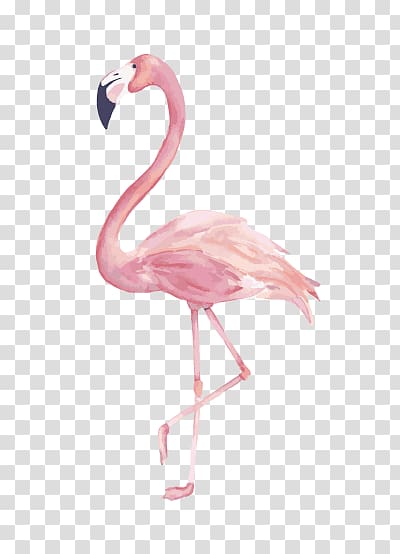pink flamingo illustration, Canvas print Art Watercolor painting, painting transparent background PNG clipart