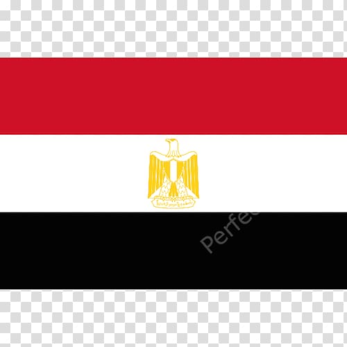 2018 FIFA World Cup Egypt national football team Flag of Egypt FIFA World Cup qualification, saladin eagle transparent background PNG clipart