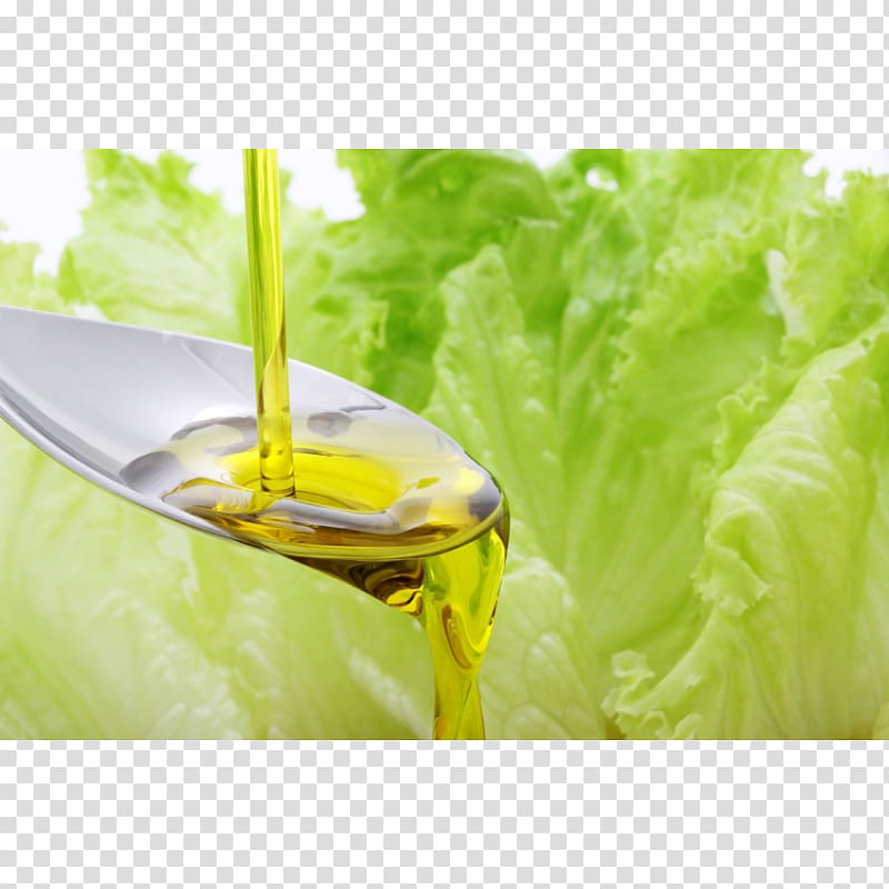 Oil Lettuce Food Health Salad, oil transparent background PNG clipart