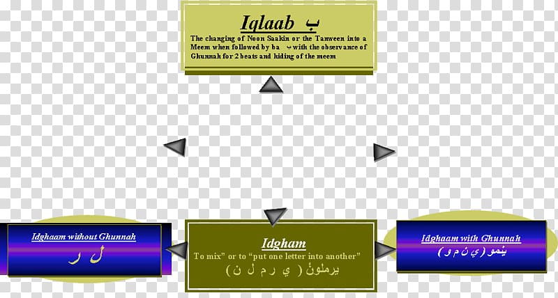Quran Learning Tajwid Recitation Arabic Language, quran study transparent background PNG clipart