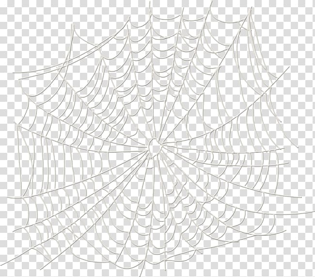 Twig Spider Symmetry White Pattern, spider transparent background PNG clipart