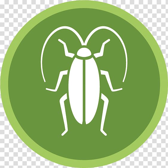 Oriental cockroach Pest Control Insect, cockroach transparent background PNG clipart