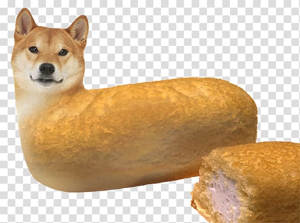 Dogecoin Shiba Inu Desktop , others transparent background PNG clipart