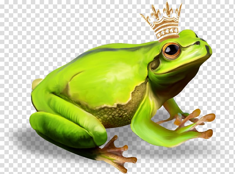 The Frog Prince True frog, prince frog transparent background PNG clipart